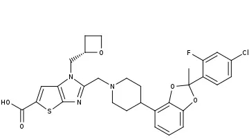 55.webp.jpg