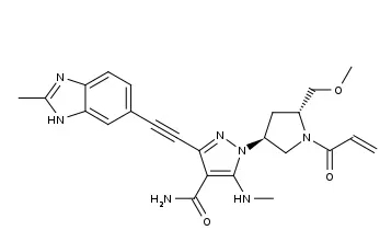 77.webp.jpg